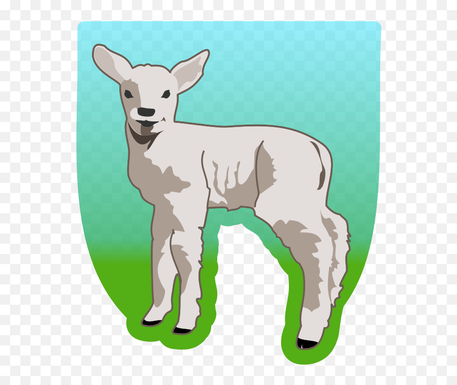 Young Lamb Png Clip Art Young Lamb - Dibujo De Borrego Emoji,Lamb Clipart