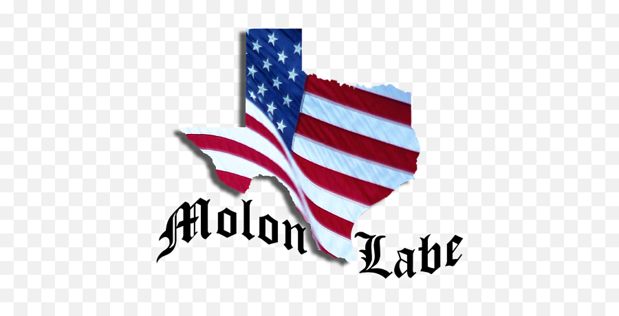 Molon Labe Tx Flag Iphone X Case For Sale By Karen Goodwin Emoji,Molon Labe Png