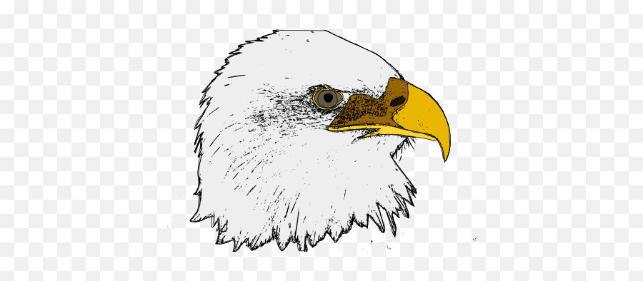 Free Clip Art Eagle By Andinuryadin - Bald Eagle Emoji,Bald Eagle Clipart