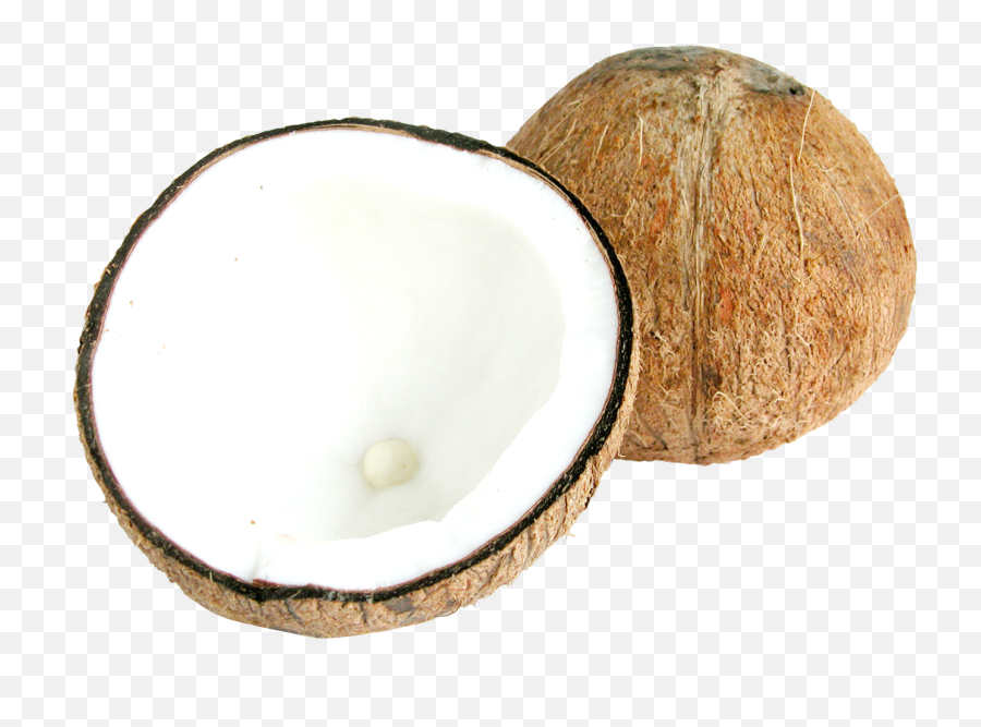 Two Half Coconuts Png Image Emoji,Coconut Png