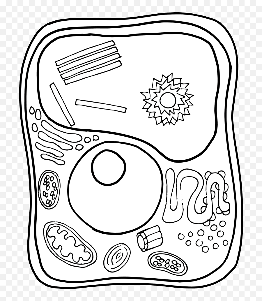 Cell Clipart Plant Cell Cell Plant - Dot Emoji,Cell Clipart