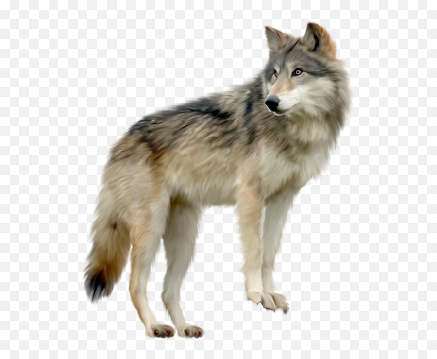 Download Wolf Png Images Hq Png Image - Wolf Transparent Png Emoji,Wolf Png