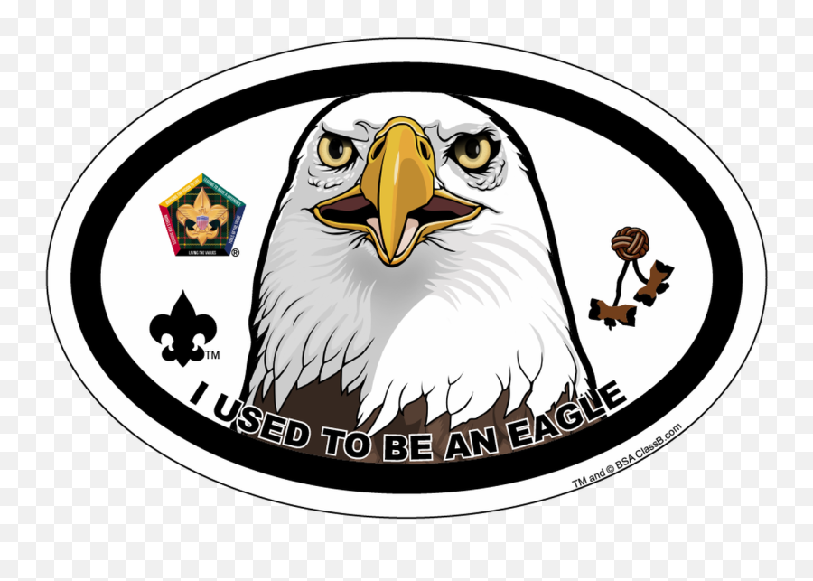 Old Logo Wood Badge Eagle Oval Magnet - Wood Badge Tartan Emoji,Wood Badge Logo