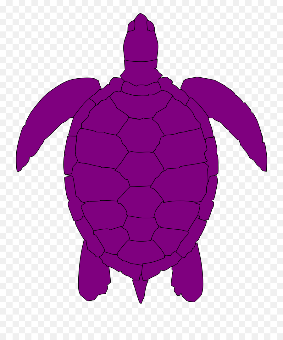 Plum Sea Turtle Svg Vector Plum Sea Turtle Clip Art - Loggerhead Sea Turtle Emoji,Sea Turtle Clipart
