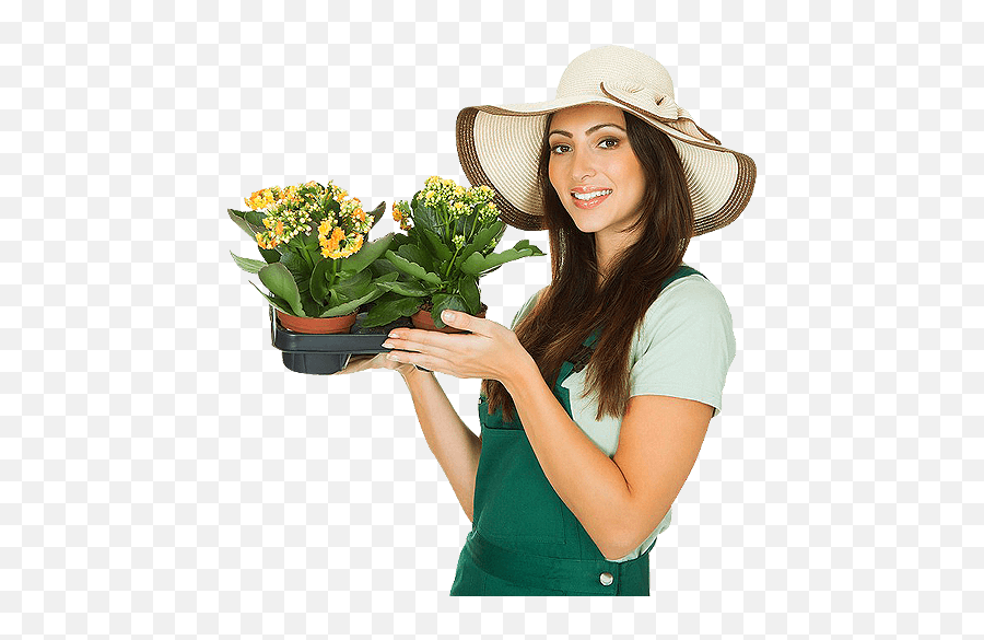 Solo - Gardeners Transparent Png Emoji,Gardener Png
