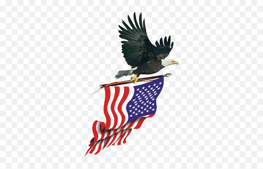 American Flag With Eagle Eagle Carrying American Flag T - Usa Eagle Flag Transparent Emoji,Us Flag Png