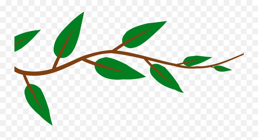 Leaf Plant Clipart Explore Pictures - Tree Branch Cut Out Emoji,Plant Clipart Png