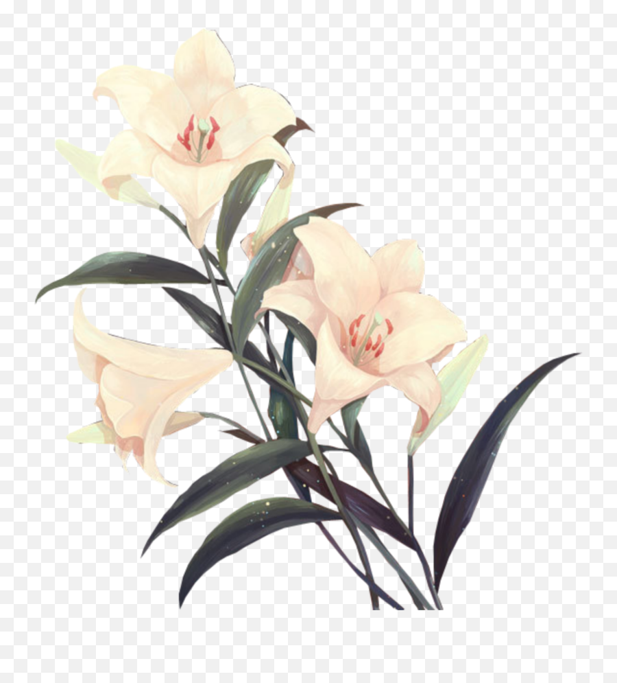 Flower Vintage White Flowers Sticker - White Flower Vintage Png Emoji,White Flower Png