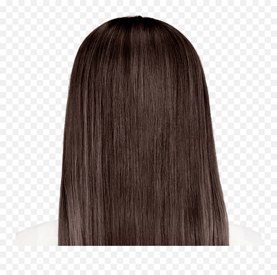 Download Hd Lace Wig Transparent Png Image - Nicepngcom Torino Brown 5na Emoji,Transparent Lace Wigs