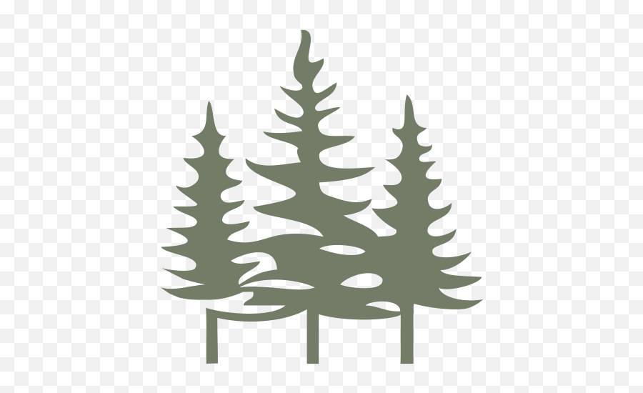 Woodloch Employees Raise Hope And Awareness For Type 1 Emoji,Evergreen Tree Clipart