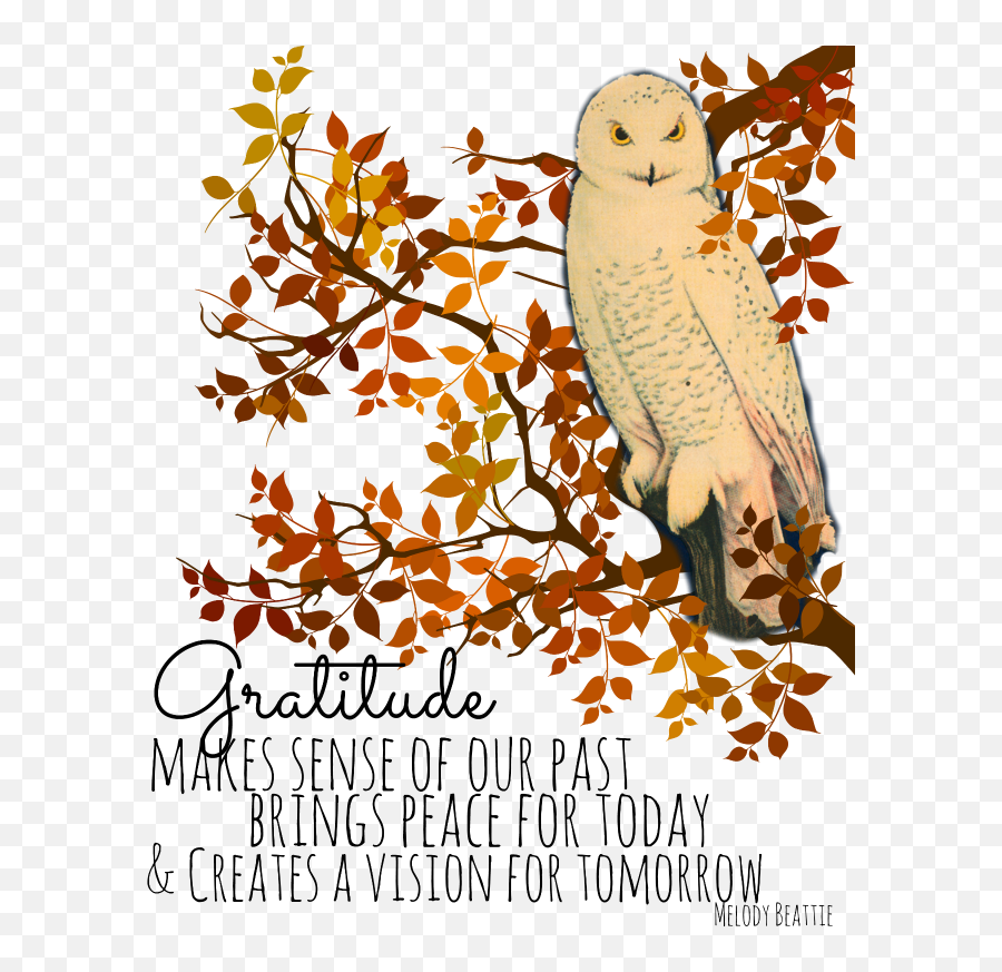 Clipart Owl Thanksgiving Clipart Owl Thanksgiving - Happy Thanksgiving Friendship Grateful Emoji,Happy Thanksgiving Clipart
