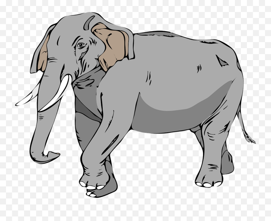 Zoo Animal Images - Elephant Clipart Emoji,Zoo Animals Clipart