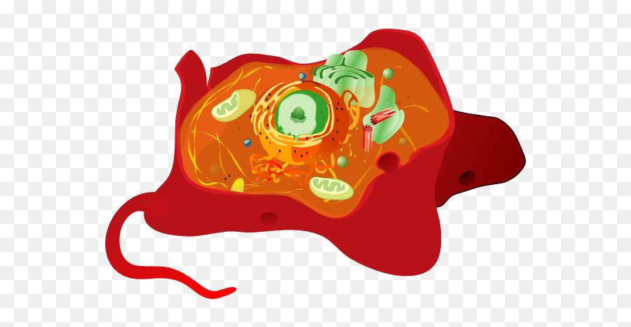 Animal Cell Clip Art At Clker - Consider This Animal Cell Which Organelle Is Labeled A Emoji,Cell Clipart