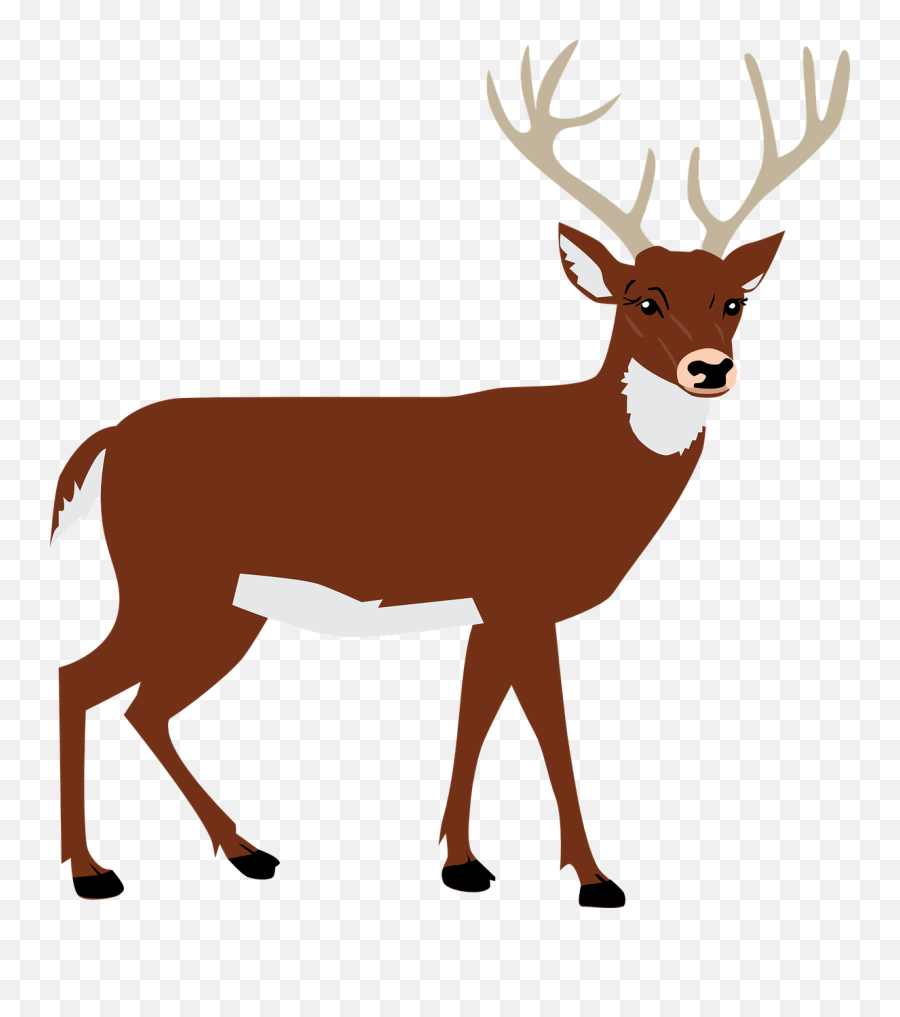 Hart Antlers Forest - Free Vector Graphic On Pixabay Vector Images Of Animal Emoji,Animal Clipart