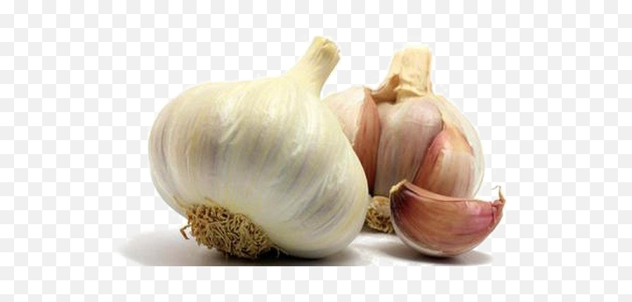Garlic Png Photo Emoji,Garlic Png