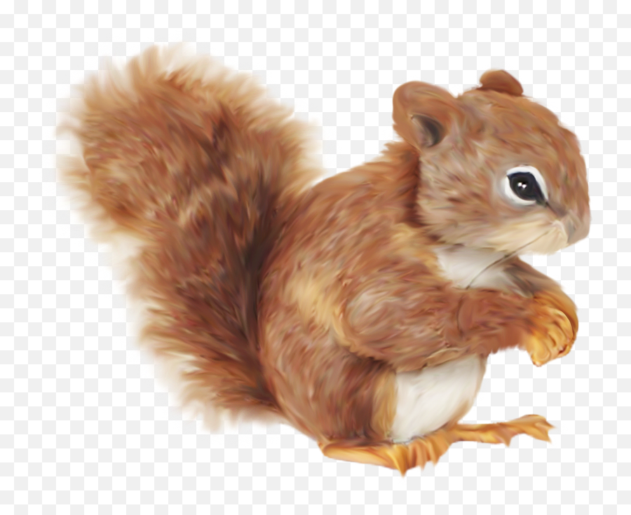 Squirrel Cartoon Clip Art - Balloon Color Png Download 800 Transparent Red Squirrel Cartoon Emoji,Squirrel Transparent Background
