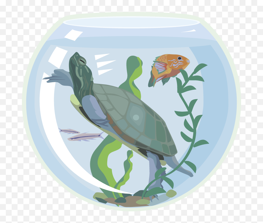Sad Clipart Sea Turtle Picture 1999732 Sad Clipart Sea Turtle - Tortoise Emoji,Sea Turtle Clipart