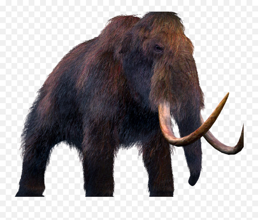 We Bring Extinct Animals Back Emoji,Mammoth Png