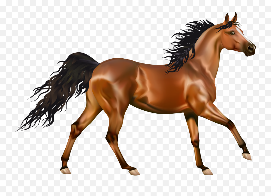 Transparent Brown Horse Png Clipart - Arabian Horse Png Emoji,Horse Clipart