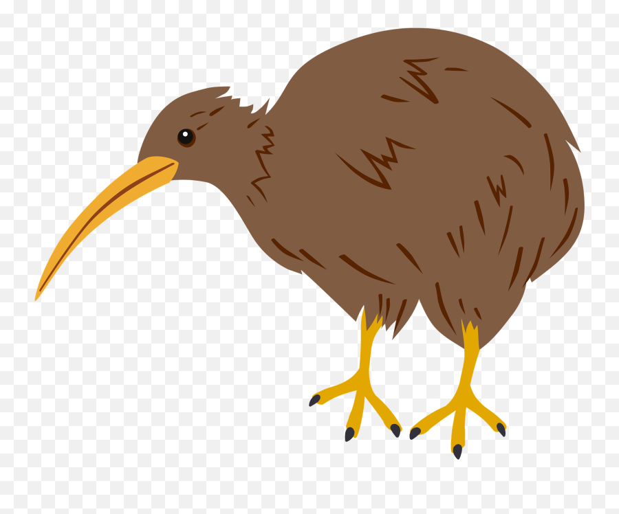 Kiwi Bird Clipart Free Download Transparent Png Creazilla - Kiwi Bird Kiwi Clip Art Emoji,Bird Clipart Black And White