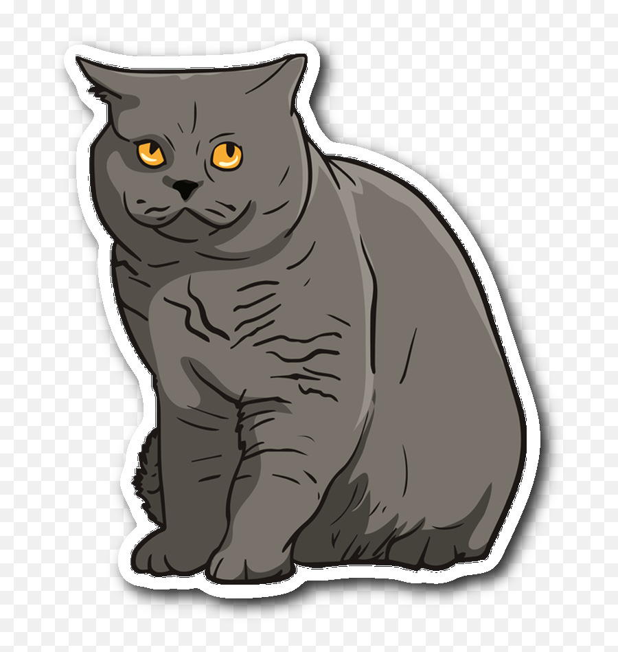 British Shorthair Cat Transparent Png Png Play - Domestic Cat Emoji,Black Cat Transparent