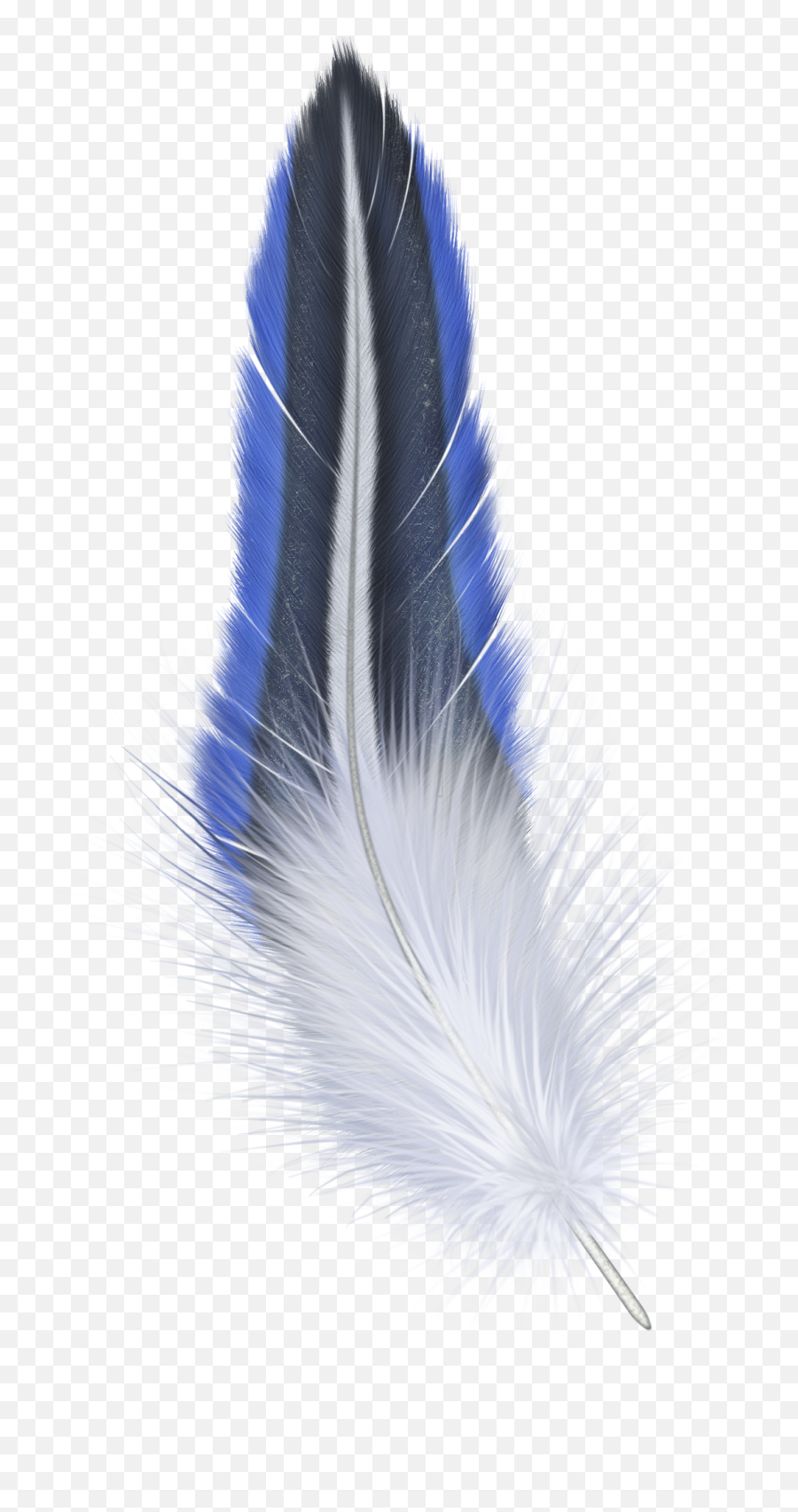 Feather Png - Transparent Background Png Format Feather Png Emoji,Feather Transparent Background