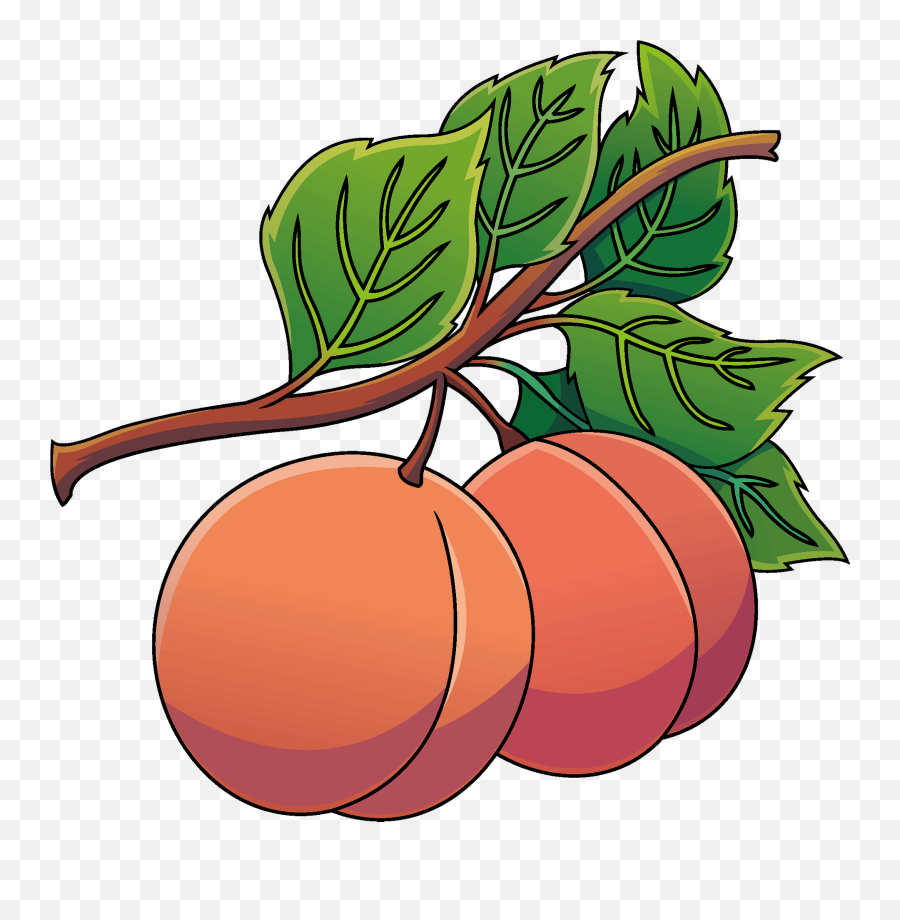 Peach Clipart - Superfood Emoji,Peach Clipart