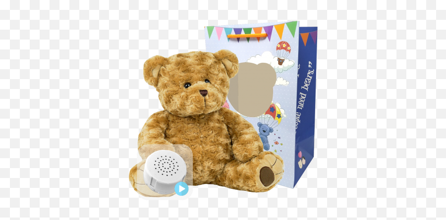 Build A Bear Anywhere Kits And Teddy Bear Party Supplies Emoji,Baby Bear Png