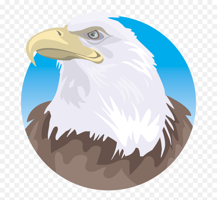 Eagle Clipart Sea Eagle Eagle Sea Eagle Transparent Free - Cif Emoji,Bald Eagle Clipart