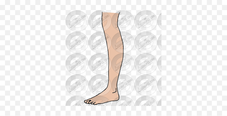 Leg Picture For Classroom Therapy Use - Great Leg Clipart Ankle Emoji,Leg Png