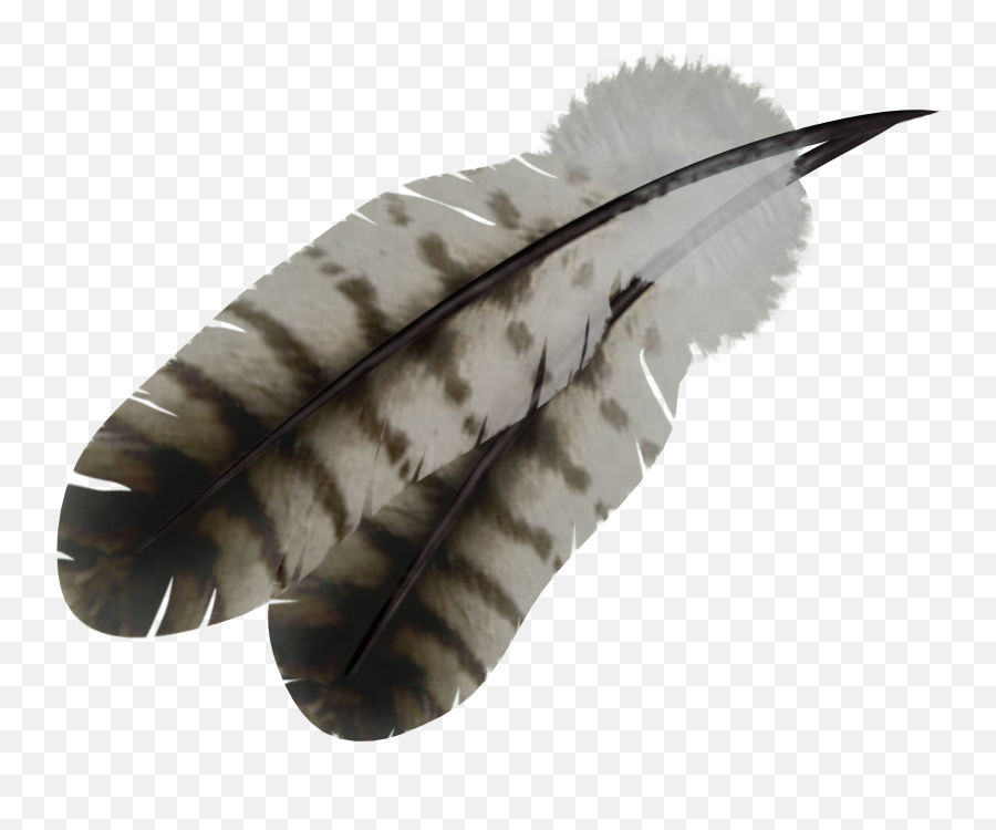 Native Feather Transparent Background - Png Bird Feather Emoji,Feather Transparent Background
