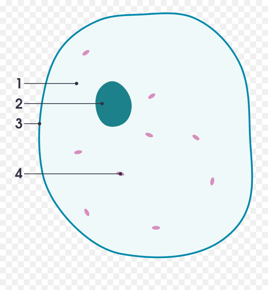Animal Cell Png Transparent Background - Dot Emoji,Cell Png