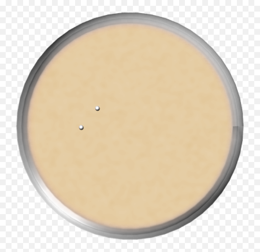 Solved Given The Results Below For Transform Nutrient Agar Emoji,Plate Transparent