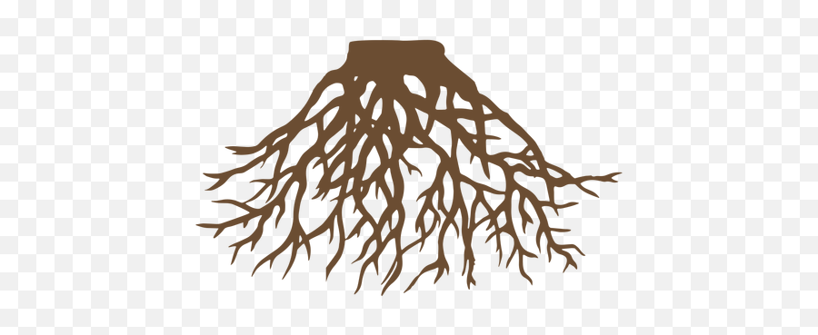 Tree Celtic Symbol Transparent Png U0026 Svg Vector Emoji,Transparent Tree With Roots Clipart