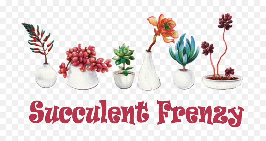 Succulent Clipart Succulent Garden - Natural Foods Emoji,Succulent Clipart