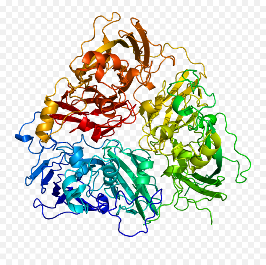 Hydration - Ceruloplasmin Protein Clipart Full Size Emoji,Hydration Clipart