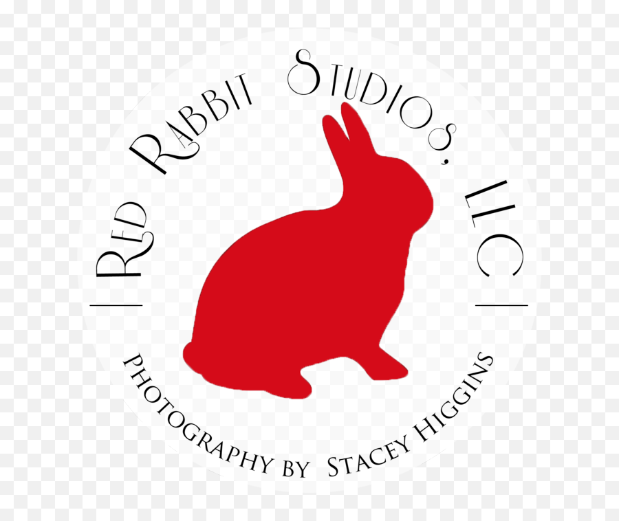 Red Rabbit Logo - Rabbit Emoji,Rabbit Logo