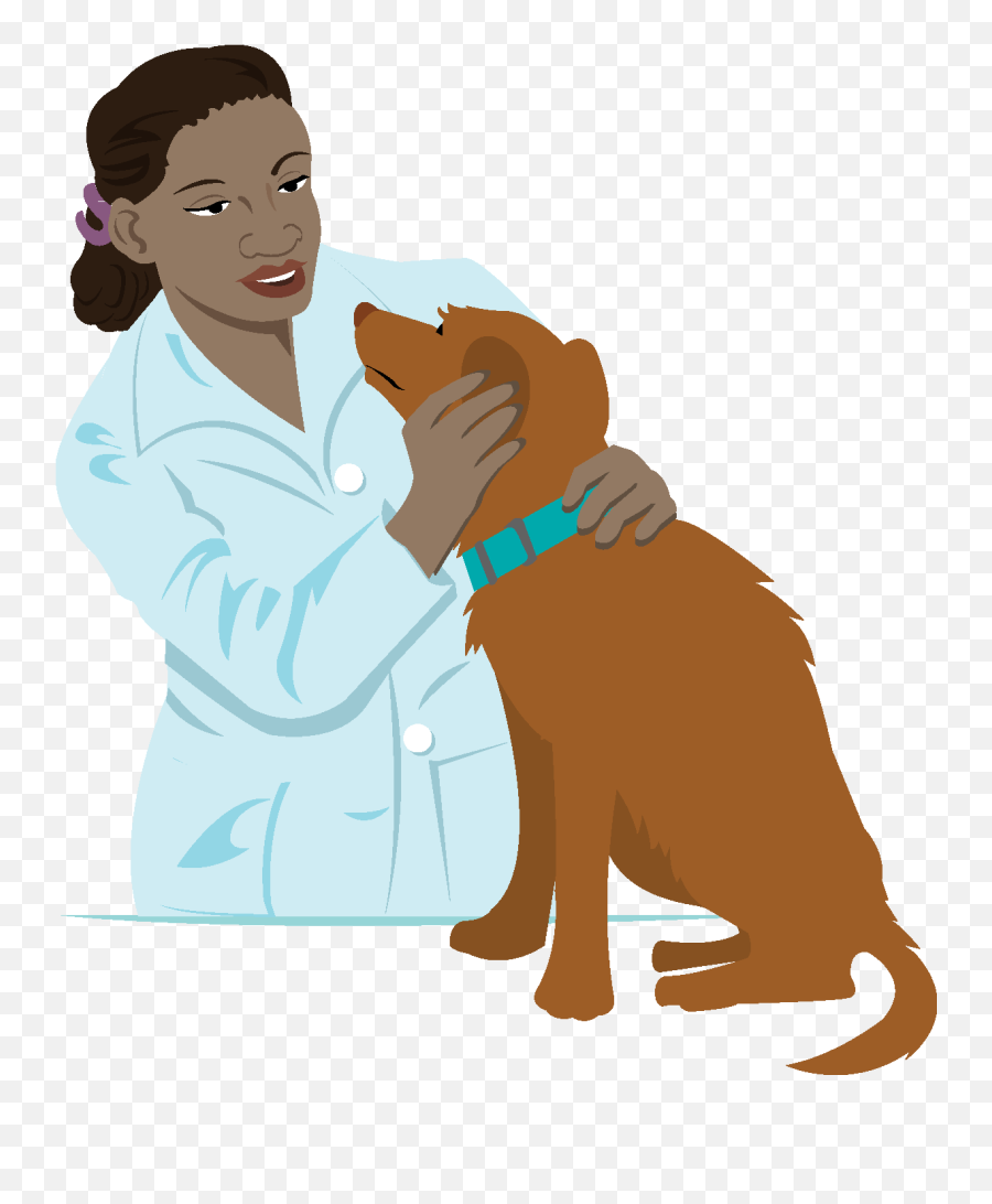 Veterinarian With The Cute Brown Dog Clipart - Transparent Veterinarian Clipart Emoji,Dog Clipart