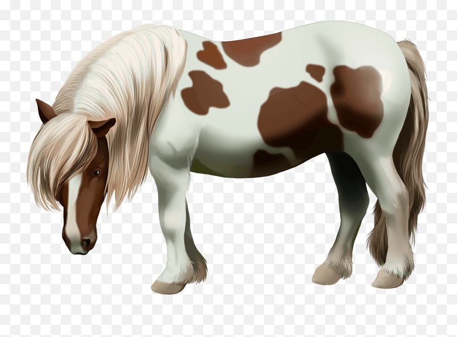 Shetland Pony Clipart Free Download Transparent Png - Shetland Pony Clipart Pony Emoji,Horse Head Clipart