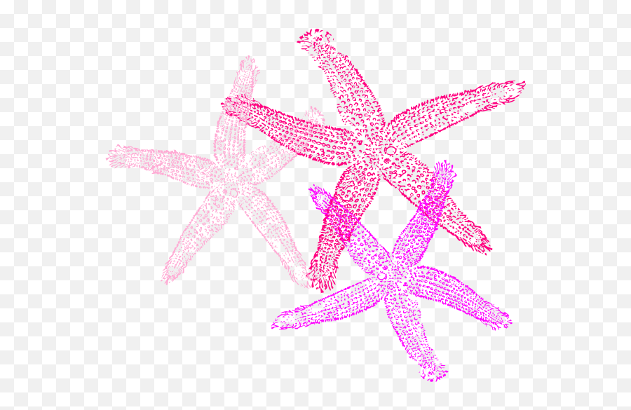 Multiple Pink Starfish Clip Art At Clkercom - Vector Clip Fish Clip Art Emoji,Starfish Clipart