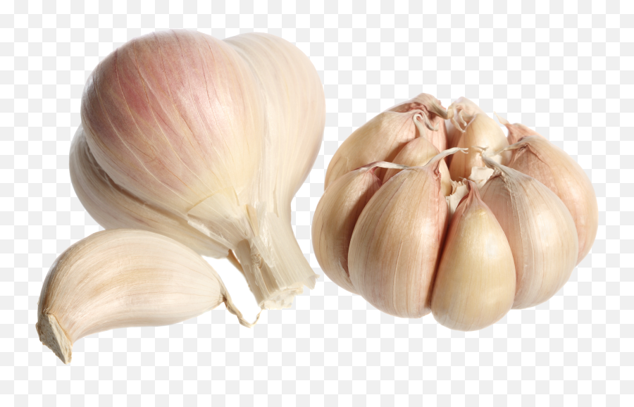 Garlic Png - Clove Garlic Transparent Emoji,Garlic Png