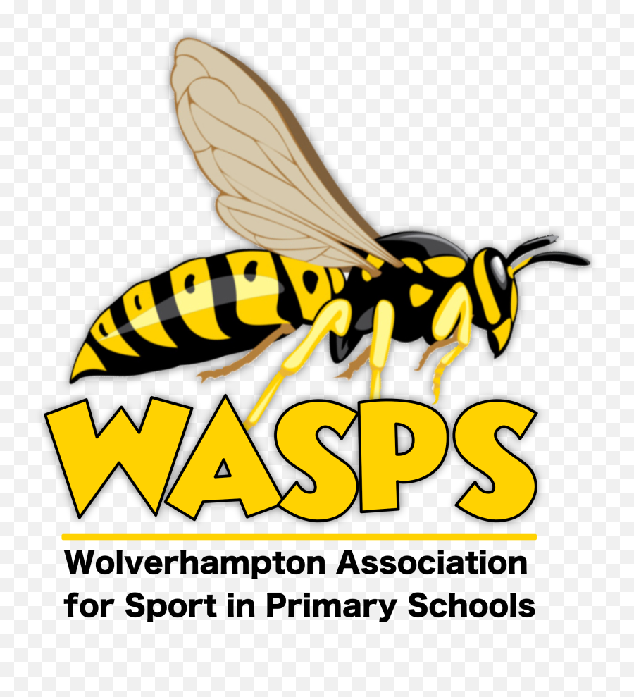Wasps Logo Png Image With No Background - Parasitism Emoji,Wasp Logo