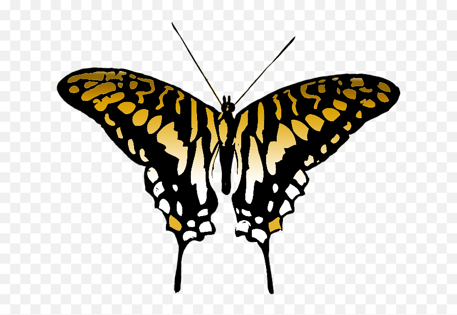 Download Butterfly Clipart - Swallowtail Butterfly Png Png Emoji,Butterfly Clipart Transparent