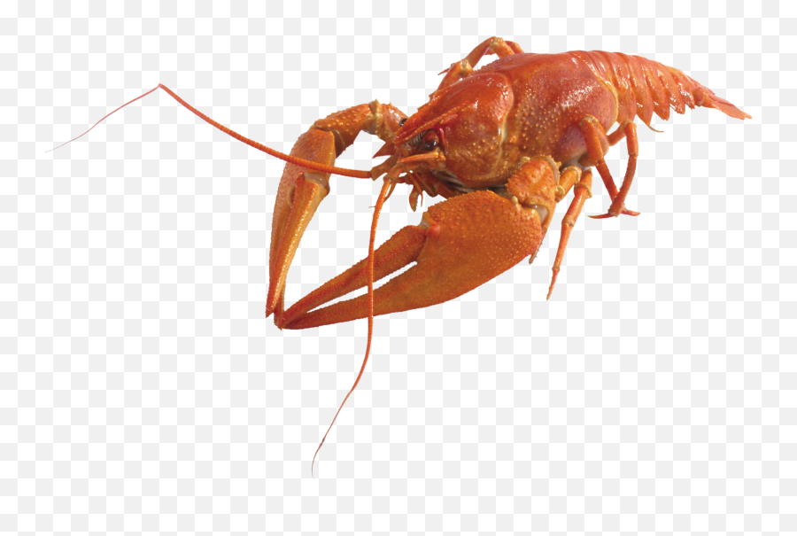Lobster Png Pic Clip Art Background Png Play Emoji,Lobster Transparent Background