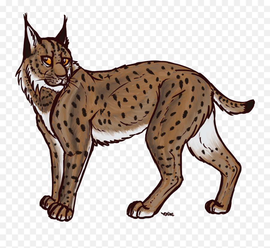 Bobcat Clipart Canada Lynx Bobcat - Lynx Cartoon Emoji,Bobcat Clipart