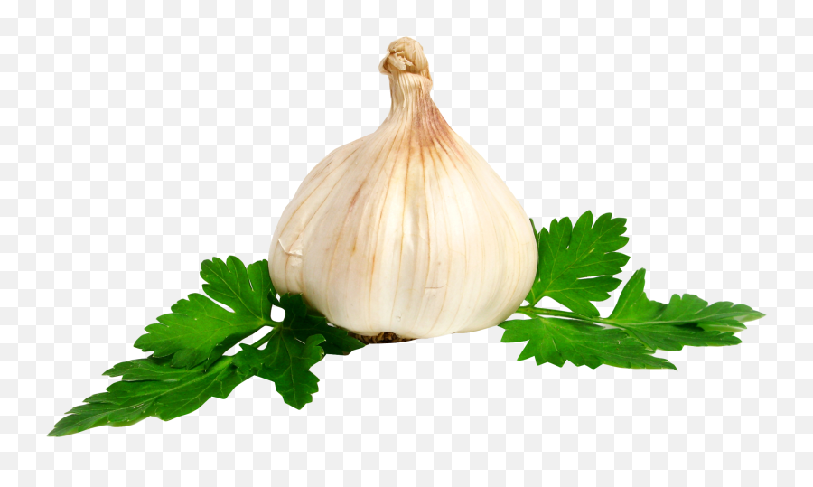 Garlic Png Image - Garlic Png Emoji,Garlic Png