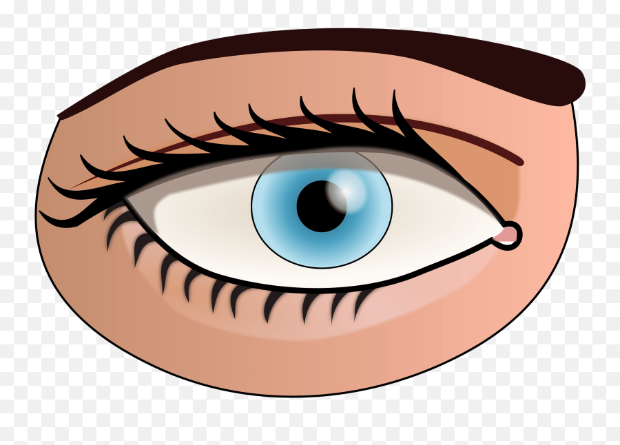 Human Eye Clipart Free Download Transparent Png Creazilla - Eyes Part Of Body Emoji,Eyes Clipart Png