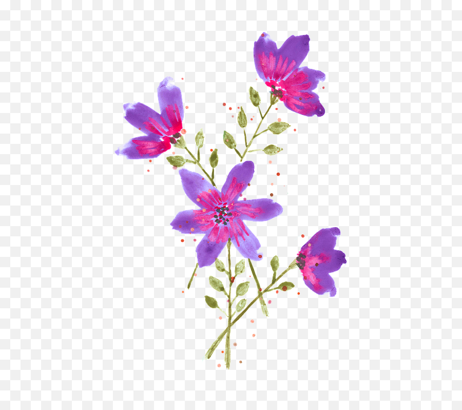 Watercolor Purple Flowers Anemone - Free Vector Graphic On Emoji,Purple Watercolor Png