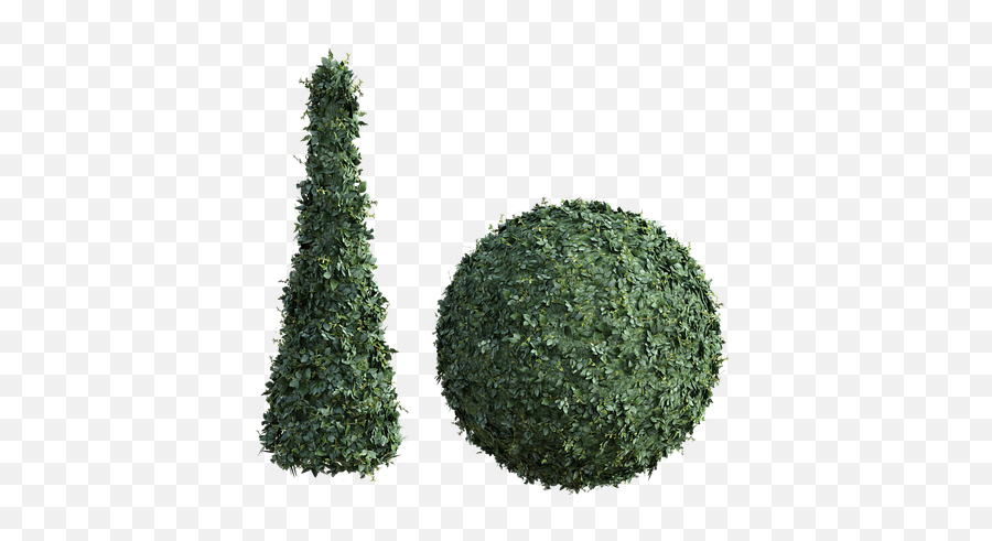 10 Free Topiary U0026 Garden Illustrations Emoji,Hedge Clipart