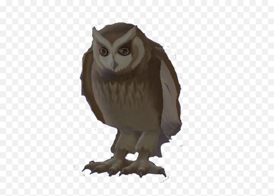 Owl Harry Potter Wiki Fandom Emoji,Owl Eyes Clipart